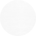 Dove White Dove White