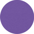 Purple Love Purple Love