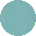 Teal Monstera C060 Teal Monstera C060